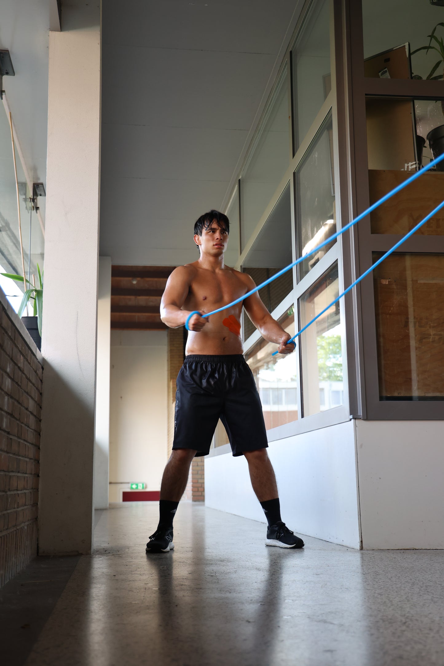 Workout Band - Light Resistance