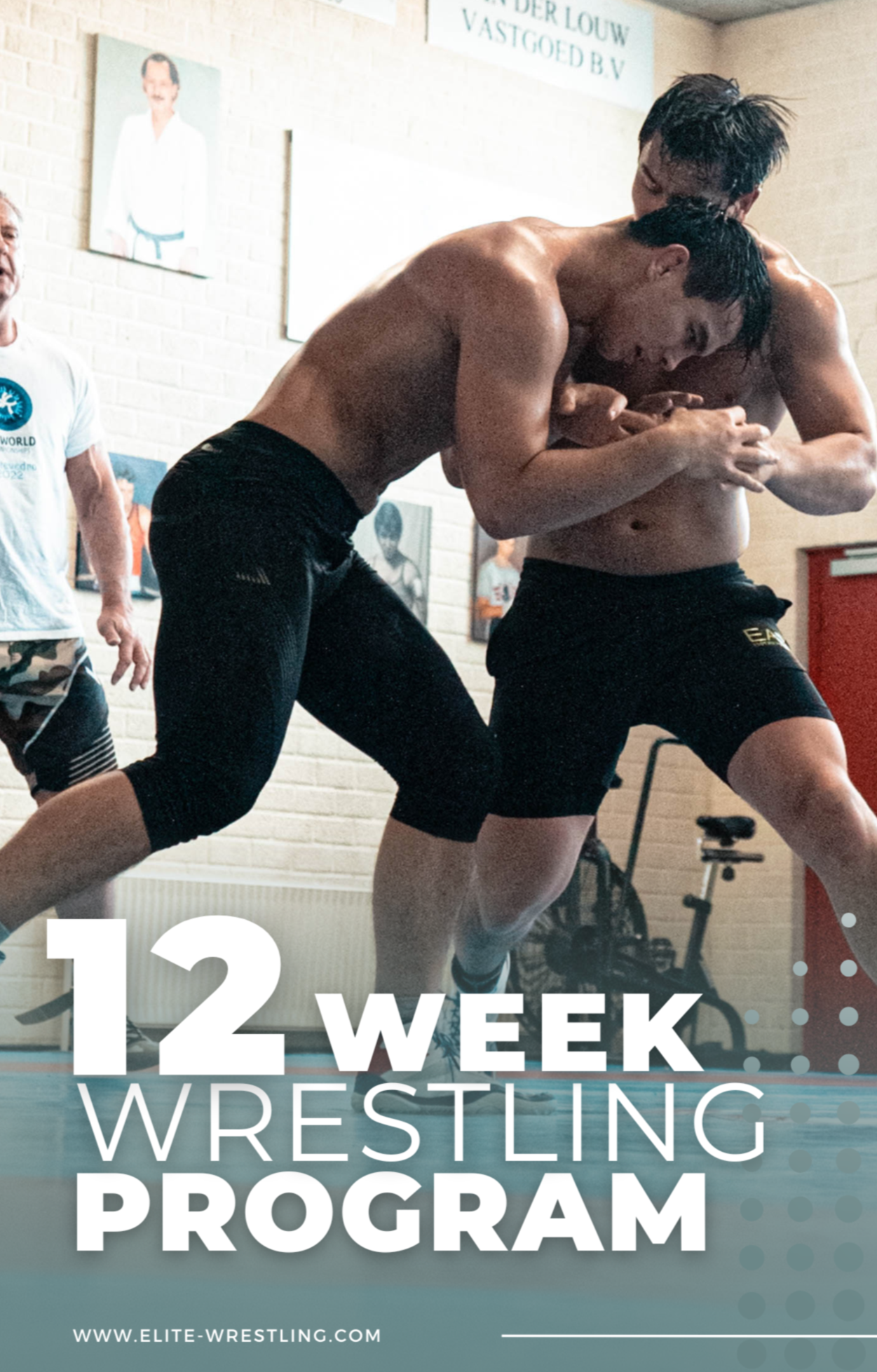 12 Week Trainingsplan