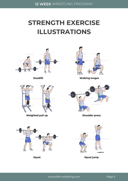 12 Week Trainingsplan