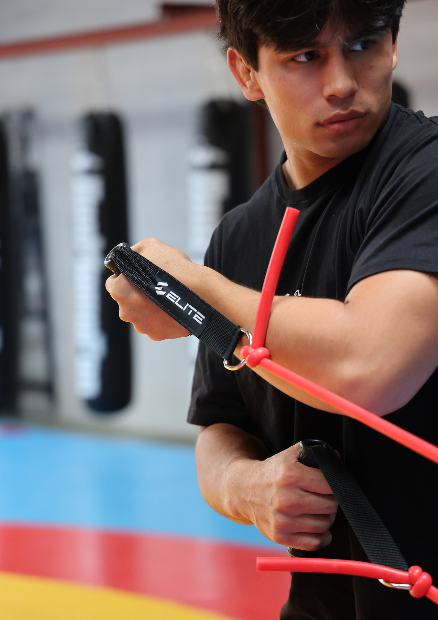 Full Workout Bands Bundle